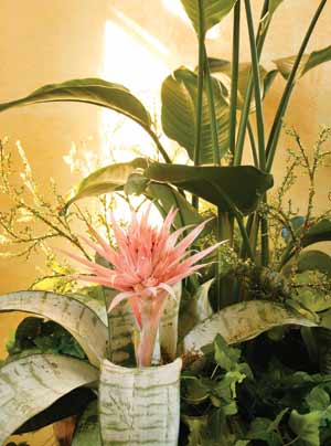  floral arrangements