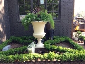 photo (1)