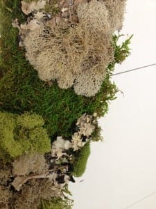 photo 4 (3)
