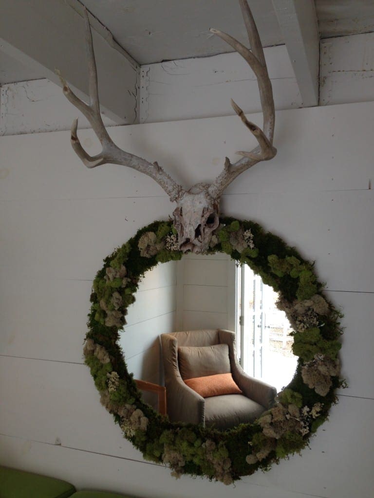 photo 3 (3)