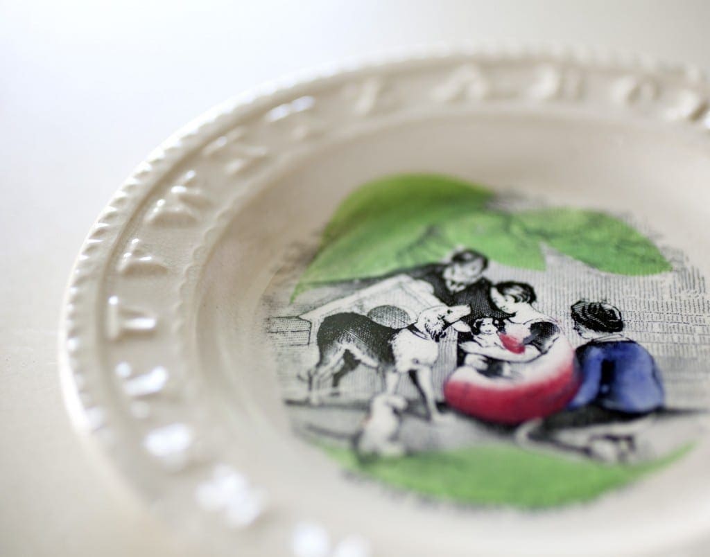 &nbsp;