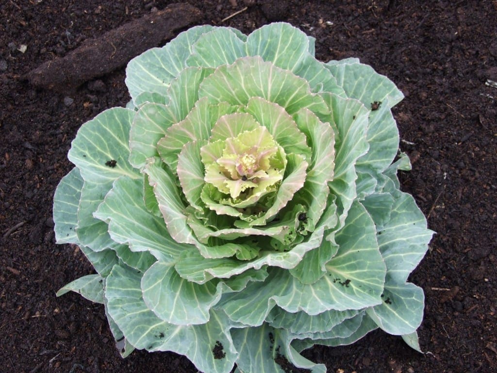 &nbsp;