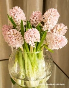 Pink hyacinth flowers in a clear glass bowl.