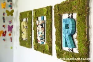 Three moss-covered frames with letter and textile art.