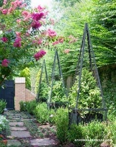 Dark metal trellises support climbing pink flowers and foliage.