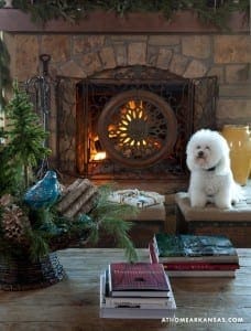 Stone fireplace with a wrought-iron surround and burning fire, flanked by greenery and a dog.