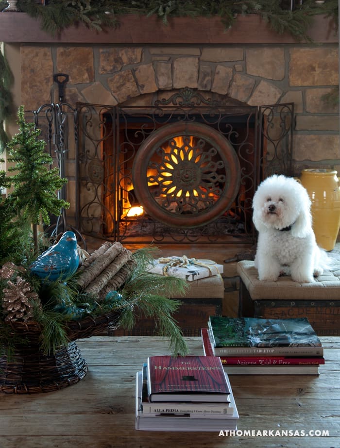 Stone fireplace with a wrought-iron surround and burning fire, flanked by greenery and a dog.