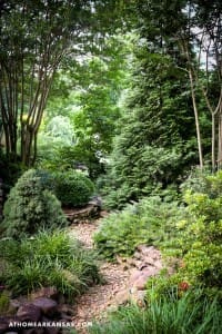 Lush garden path with varied greenery and stone.