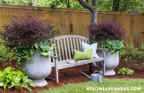 Wooden bench with shrubs and planters in a garden setting.
