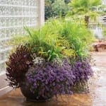Large planter with diverse foliage and purple flowers near a lake.