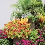 Large planter with colorful flowers and greenery against a wall.