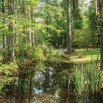 Still water reflects tall trees and vegetation.