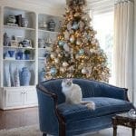 Blue velvet sofa with a cat, bookshelf, and Christmas tree.