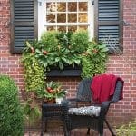 Brick facade with window, shutters, and a window box filled with greenery and fruit.