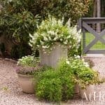 Gray metal fence with white flowering shrubs and potted plants.