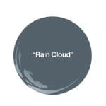 Dark gray circle with ‘Rain Cloud’ text