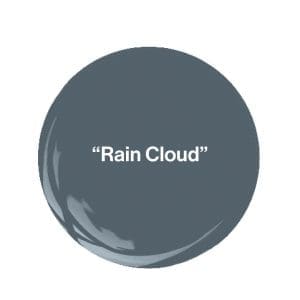 Dark gray circle with ‘Rain Cloud’ text