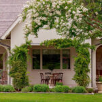 Cream stucco house with white flowering tree and climbing vines over patio table.