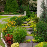 Garden path with black-eyed Susans, lush greenery, and stone pavers.