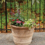 Terracotta planter with mixed flowers and greenery in front of a black metal fence.
