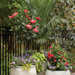 Two large textured planters filled with red hibiscus, palm fronds, and purple flowers.