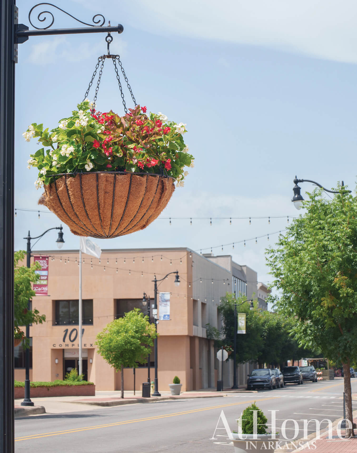 Hanging basket with red flowers and string lights on a city street.